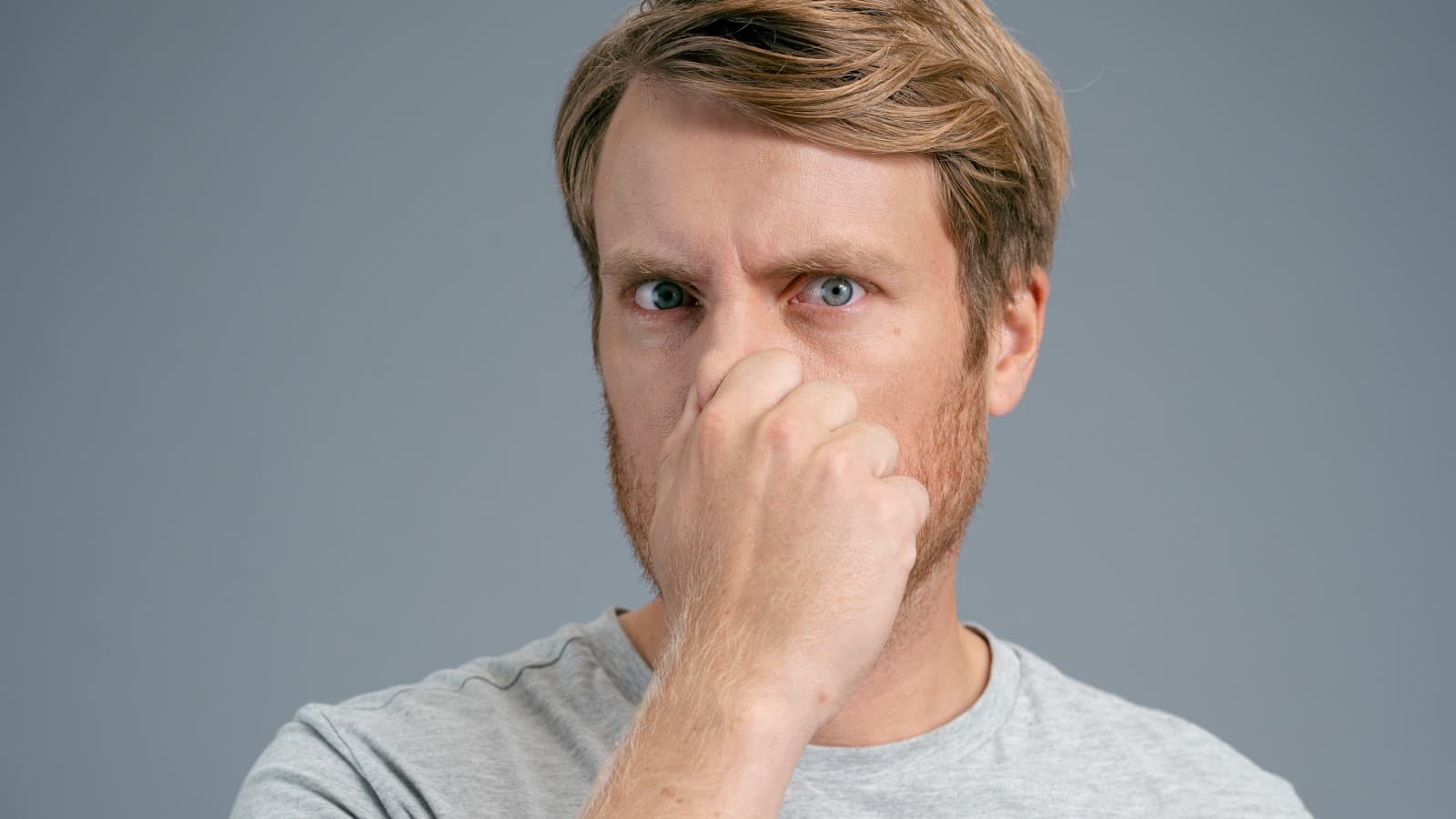 Porsgrund ansatt holder seg for nesen Porsgrund ansatt holder seg for nesen